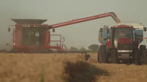 Case IH - Close Up of Combine and Grain Cart Stock Footage 65318739