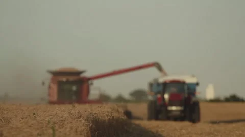 Case IH - Combine and Grain Cart Front View Stock Footage 65318763