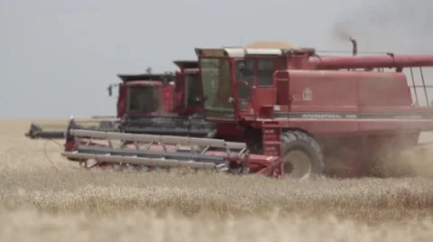 Case IH Combine Field  Stock Footage 65059516
