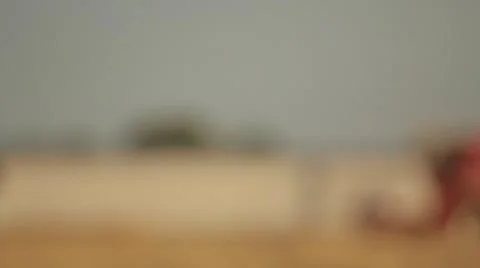 Case IH - Combine Side View Stock Footage 65319110