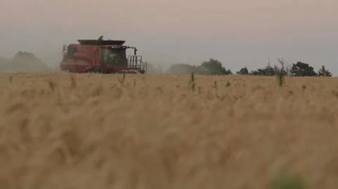 Case IH - Far Shot of Combine  Stock Footage 65318909