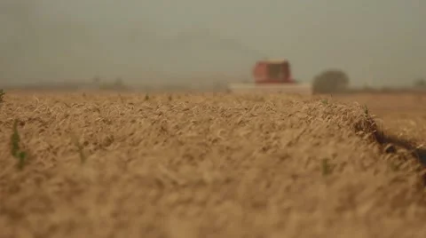 Case IH - Far Shot of Combine Stock Footage 65319016