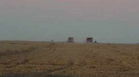 Case IH - Far Shot of Multiple Combines Stock Footage 65319210