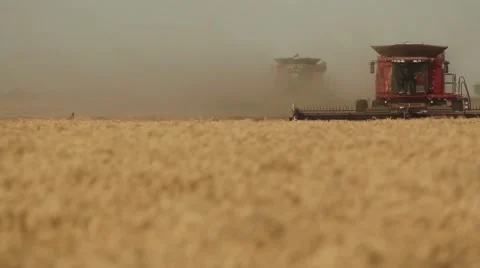 Case IH - Front View of Combine  Stock Footage 65319241
