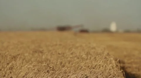 Case IH - Front View of Combine and Grain Cart Stock-Footage 65319286