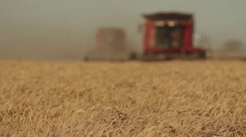 Case IH - Front View of Combine Close Up Stock Footage 65319384