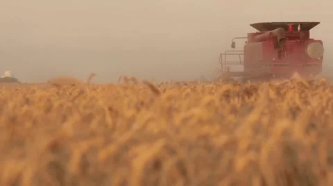 Case IH - Ground Shot of Combine Stock Footage 65319504