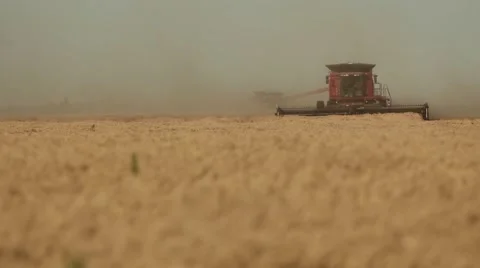 Case IH - Medium Shot of Combine Stock Footage 65319597