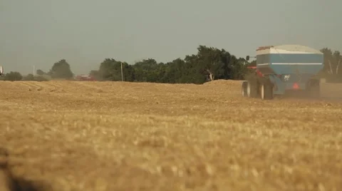 Case IH - Pan Across Wheat Field Stock Footage 65319714