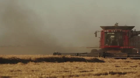 Case IH - Two Combines Cutting Wheat Stock-Footage 65319767