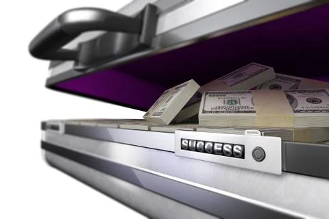 Case with money and code success on white background Illustrazione stock