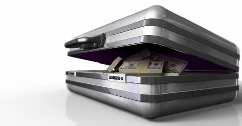 Case with money and code success on white background Stock Illustration