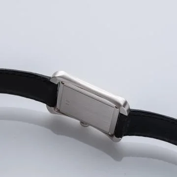 Case side view, Audemars Piguet Stock Photos