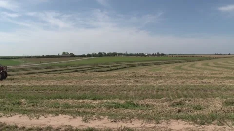 Case Tractor Raking Back View Stock-Footage 40461837