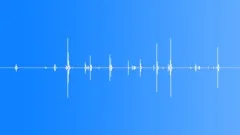 CASE,TRUNK Sound Effect