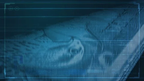 Cash flip dirham Stock Footage 85306563