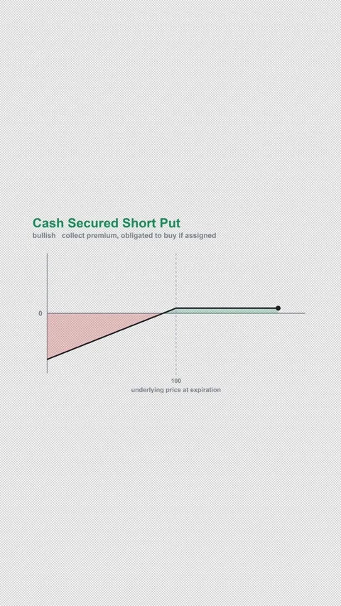 Cash Secured Short Put Options Strategy Payoff Diagram 4K Vertical 9x16 Light Видео 339506935