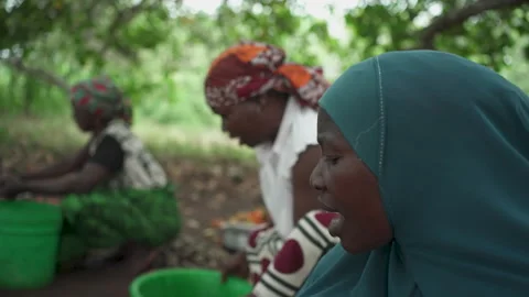 Cashew farm workers 動画素材 331060287
