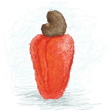 Cashew Stock Illustration