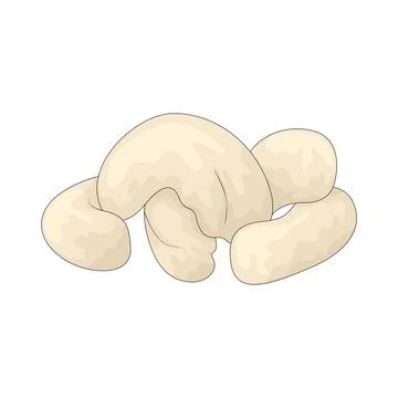 Cashew illustration Stock Illustration