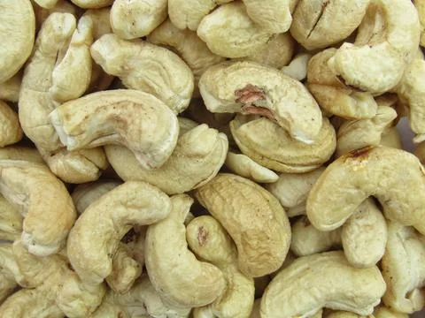Cashew nut close-up view  Stock Photos