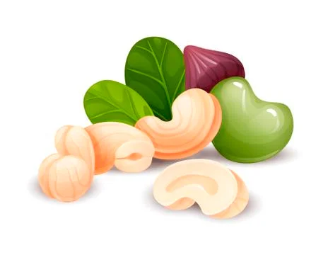 Cashew nut composition, vector cartoon, food label Stock Illustration