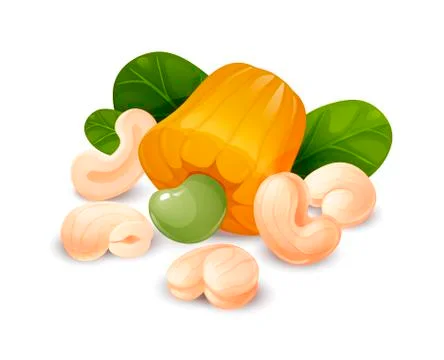 Cashew nut composition, vector cartoon, food label Stock Illustration