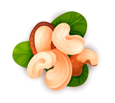 Cashew nut composition, vector cartoon, food label Illustrazione stock