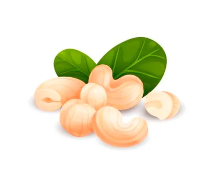 Cashew nut composition, vector cartoon, food label Stock Illustration
