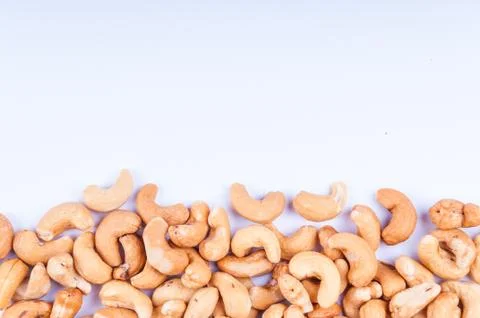 Cashew nut Fotos de archivo