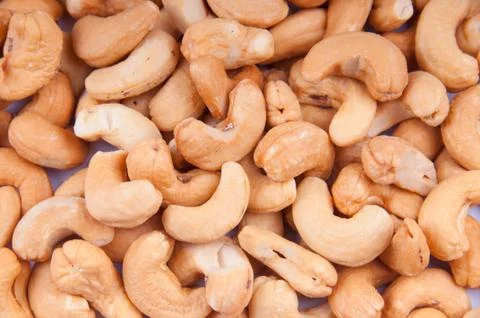 Cashew nut Fotos de archivo
