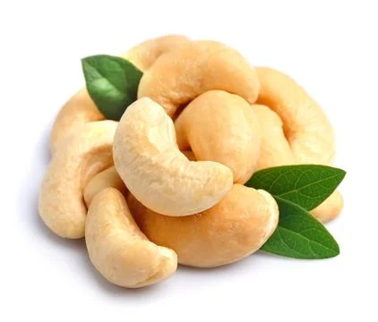 Cashew nut. Stock Photos