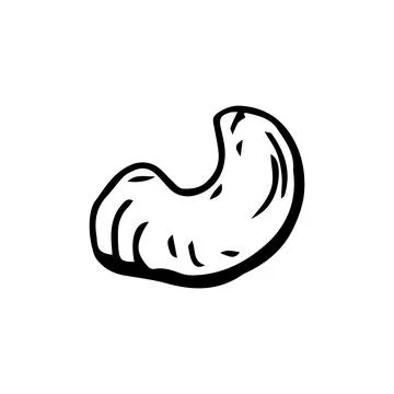 Cashew nut thin black lines on white background - Vector Stock Illustration