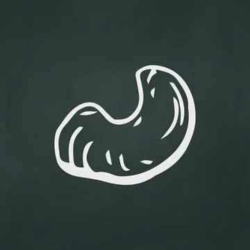 Cashew nut thin white lines on a textural dark background - Vector Stock Illustration