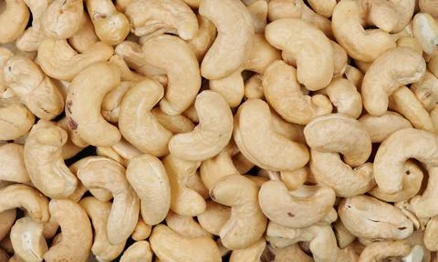 Cashew nuts background and texture 写真素材