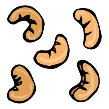 Cashew Nuts. Doodle Style Vector Design, Isolated on White Background. Stock Illustration