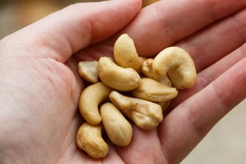 Cashew nuts in a hand Stock Photos