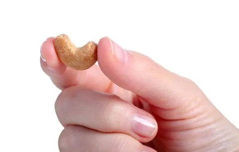 Cashew nuts on hand Stock Photos