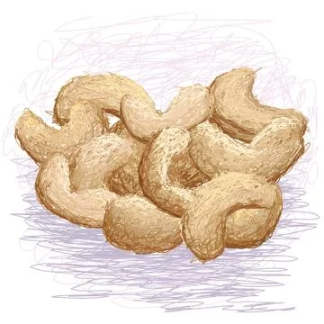 Cashew nuts Stock Illustration