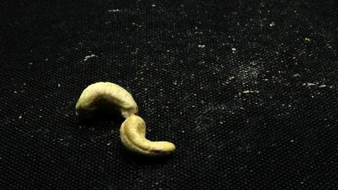 Cashew nuts isolated Stock Photos
