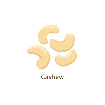 Cashew nuts isolated on white background vector illustration in flat design. Stock-Illustration