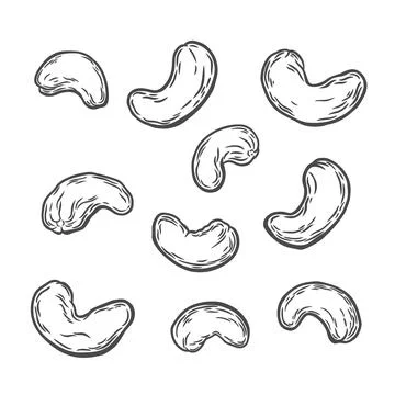 Cashew nuts on a white background Stock Illustration