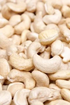 Cashew Stock Photos
