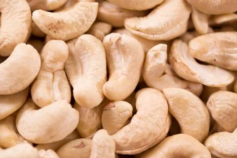 Cashew Stock Photos
