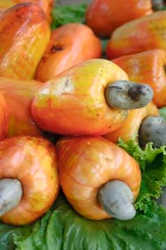 Cashew Stock Photos
