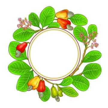 Cashew vector frame Stock Illustration