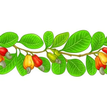 Cashew vector pattern Stock Illustration