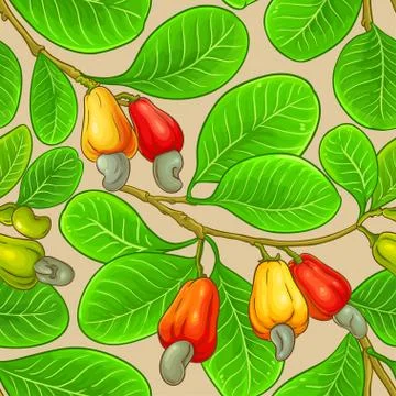 Cashew vector pattern Stock Illustration