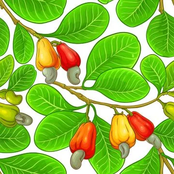 Cashew vector pattern Stock Illustration