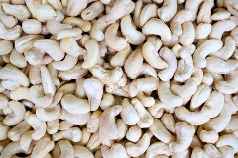 Cashews background 写真素材